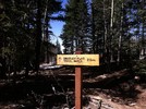photo thumbnail #14