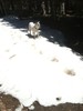 photo thumbnail #15