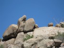photo thumbnail #1