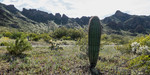 photo thumbnail #10