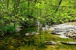 photo thumbnail #15