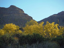 photo thumbnail #6