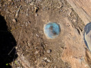 photo thumbnail #15