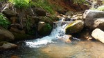 photo thumbnail #1