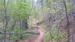 photo thumbnail #2