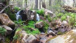 photo thumbnail #4