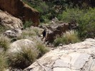 photo thumbnail #10