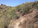 photo thumbnail #14