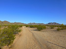 photo thumbnail #4
