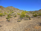 photo thumbnail #6