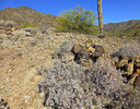 photo thumbnail #7