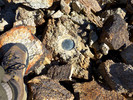 photo thumbnail #9