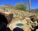 photo thumbnail #12