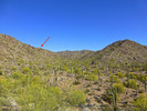 photo thumbnail #13