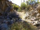 photo thumbnail #14
