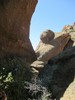 photo thumbnail #8