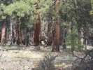 photo thumbnail #1