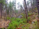 photo thumbnail #5