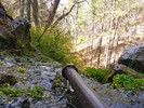 photo thumbnail #9