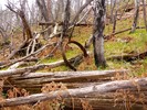 photo thumbnail #13