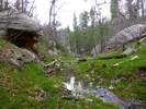 photo thumbnail #15