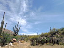 photo thumbnail #2