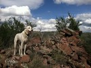 photo thumbnail #3