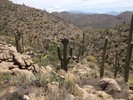 photo thumbnail #6