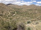photo thumbnail #10