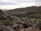 photo thumbnail #13