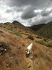 photo thumbnail #2