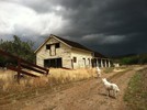 photo thumbnail #4