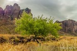 photo thumbnail #4