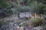 photo thumbnail #4