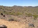 photo thumbnail #3