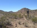 photo thumbnail #5