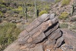 photo thumbnail #2