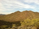 photo thumbnail #1