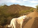 photo thumbnail #2