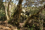 photo thumbnail #9