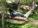 photo thumbnail #3