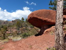 photo thumbnail #10