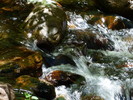 photo thumbnail #11