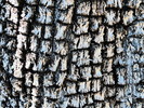 photo thumbnail #14
