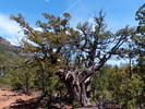 photo thumbnail #15