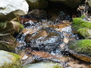 photo thumbnail #9