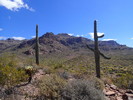 photo thumbnail #13