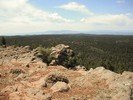 photo thumbnail #5