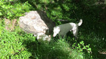 photo thumbnail #11
