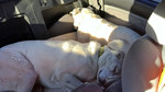 photo thumbnail #13